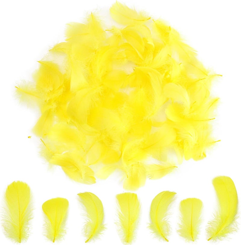 Lamar Feather 300pcs Yellow Feathers 2-3 Inches Bulk Feathers for Crafting, Dream Catcher Accessories, Art Projects, DIY Crafting, Handi Crafts, Party Decoration (Yellow) - Image 1
